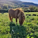 Cal Gat بيت للعطل *