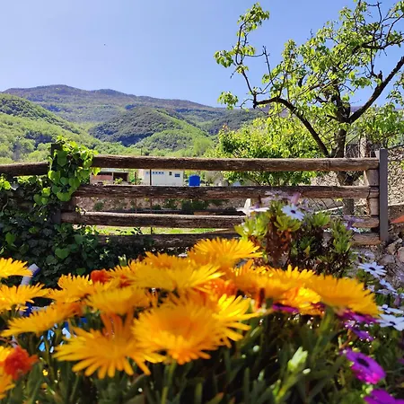 Holiday home Cal Gat *