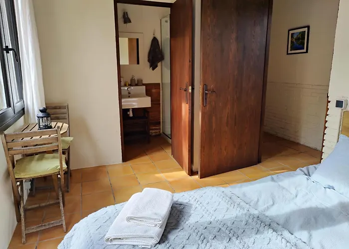 Cal Gat Nyaraló Les Planes d'Hostoles
